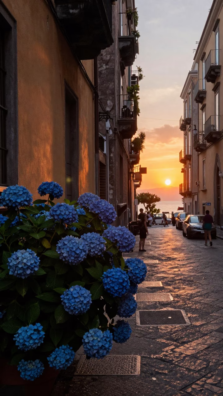 Naples Italy Sunset Street Scene with Blue Hydrangea Bush and Traditional Balcony in in Naples, Italy