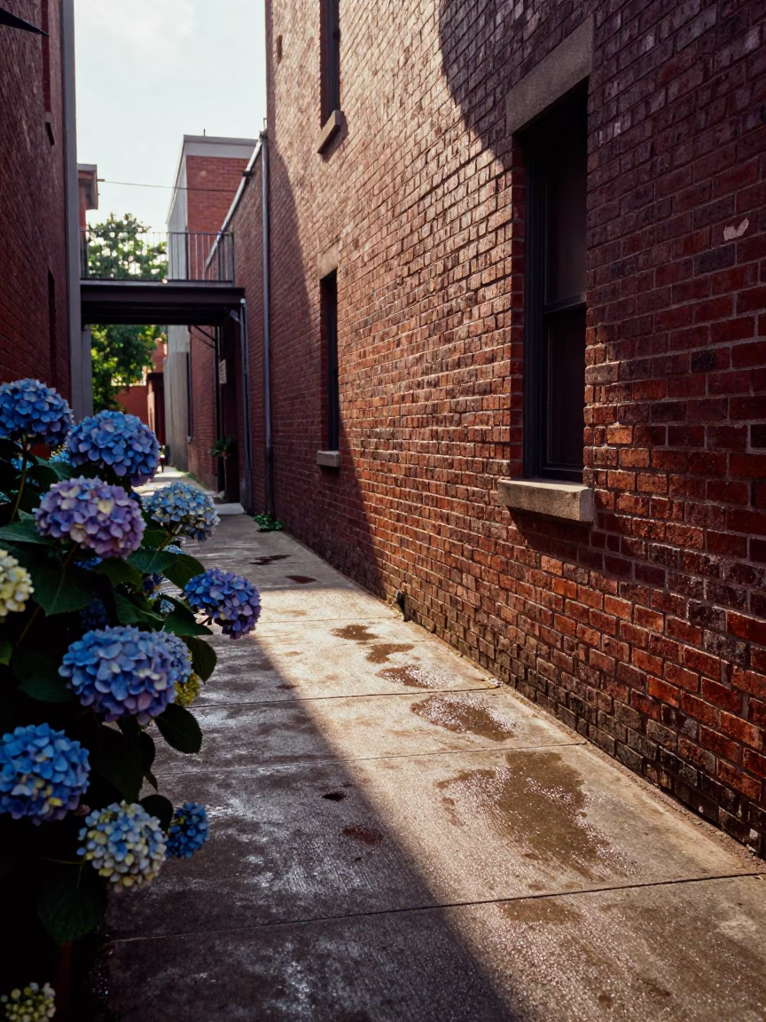 Nashville Tennessee late afternoon sunlight on brick alleyway with hydrangea bush in in Nashville, Tennessee, United States