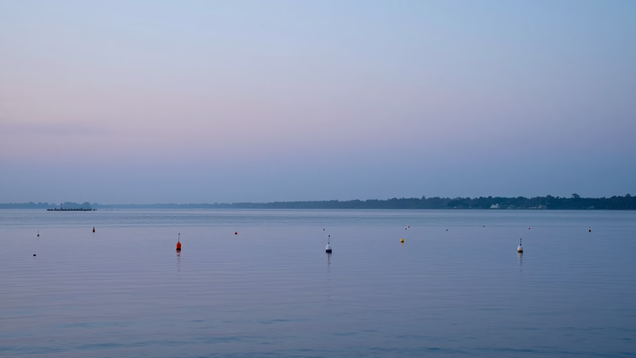 Nautical Dawn Harbor Scene with Fishing Floats and Pigeons in Charleston in in Charleston, South Carolina, United States