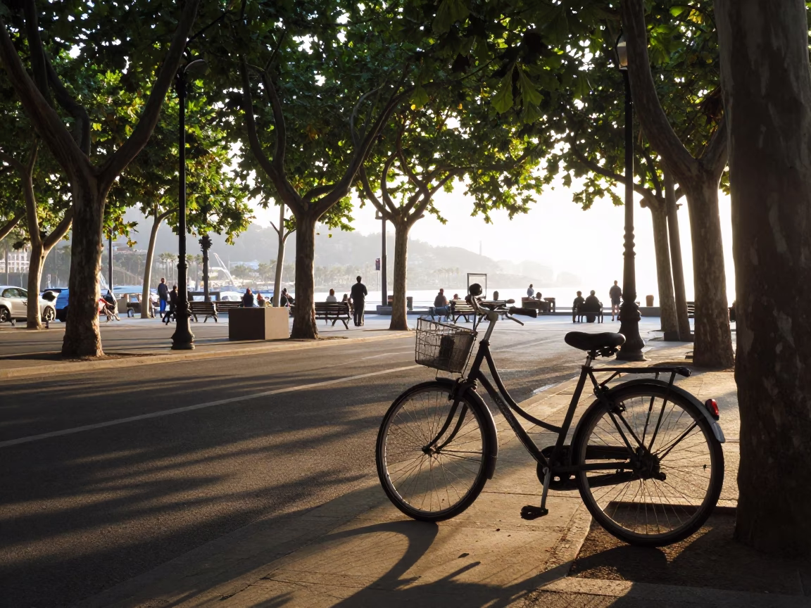 Nautical Dawn in Barcelona Spain Street Scene with Leaf Shadows and Steam Haze in in Barcelona, Spain