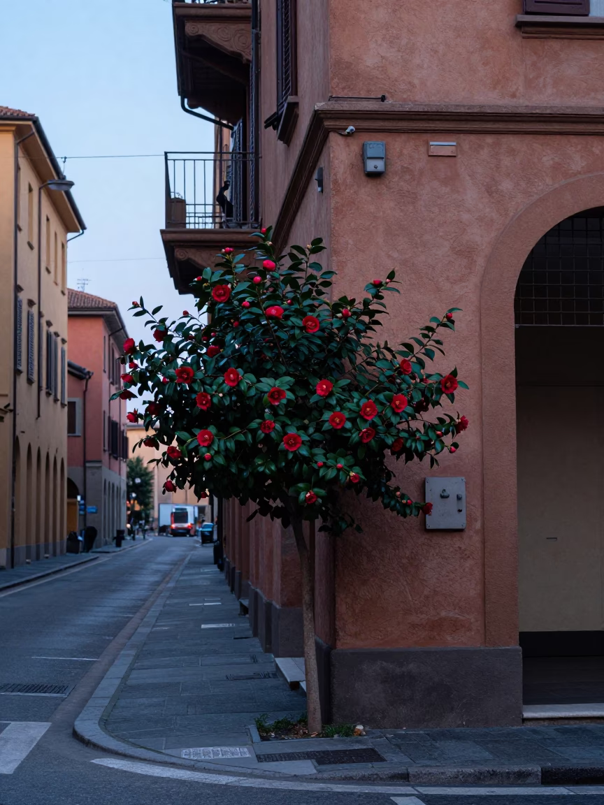 Nautical Dawn in Bologna Italy Street Scene with Camellia and Urban Details in in Bologna, Italy