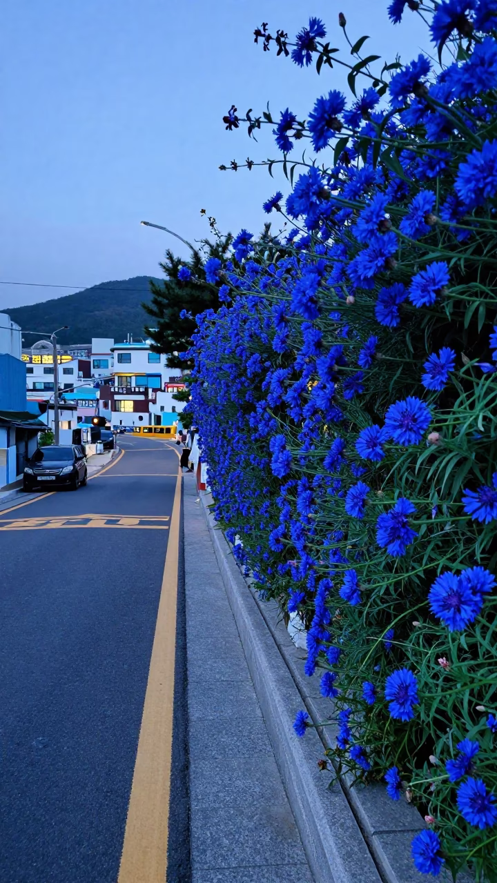 Nautical Dawn in Busan South Korea Street Scene with Plumbago Hedge and Coastal Atmosphere in in Busan, South Korea