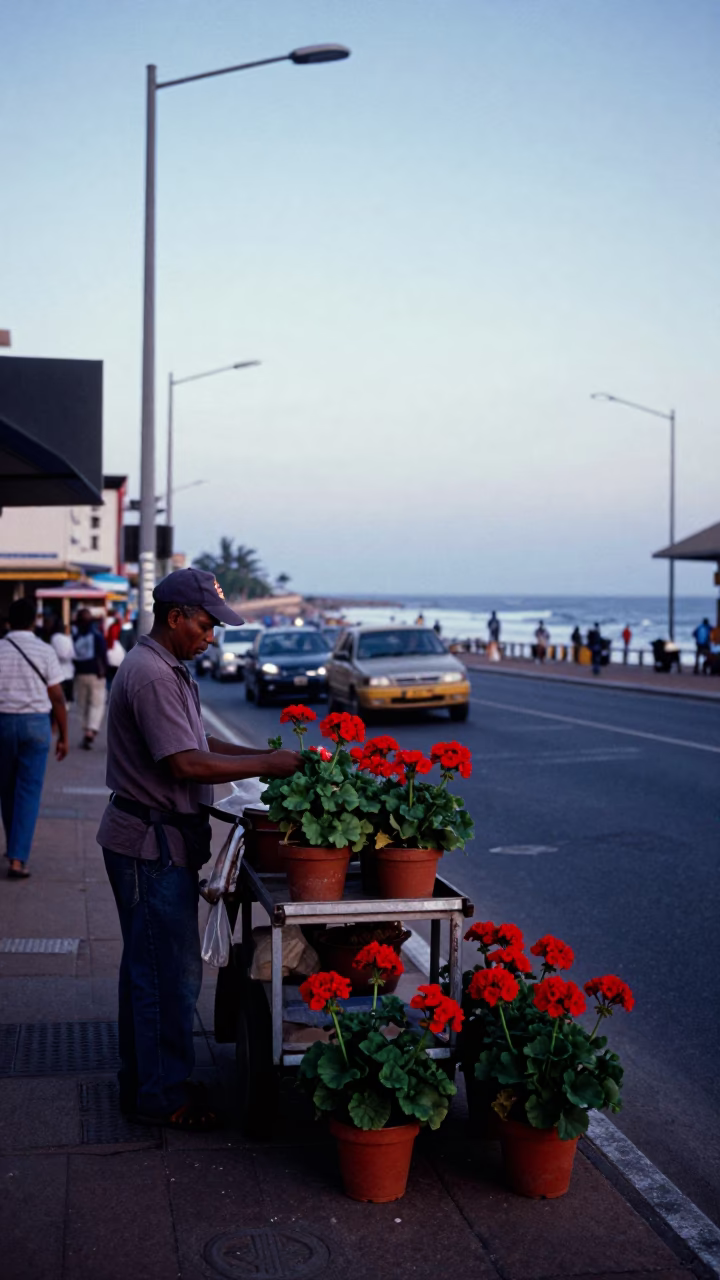 Nautical Dawn in Durban South Africa with Potted Geraniums and Coastal Street Scene in in Durban, South Africa