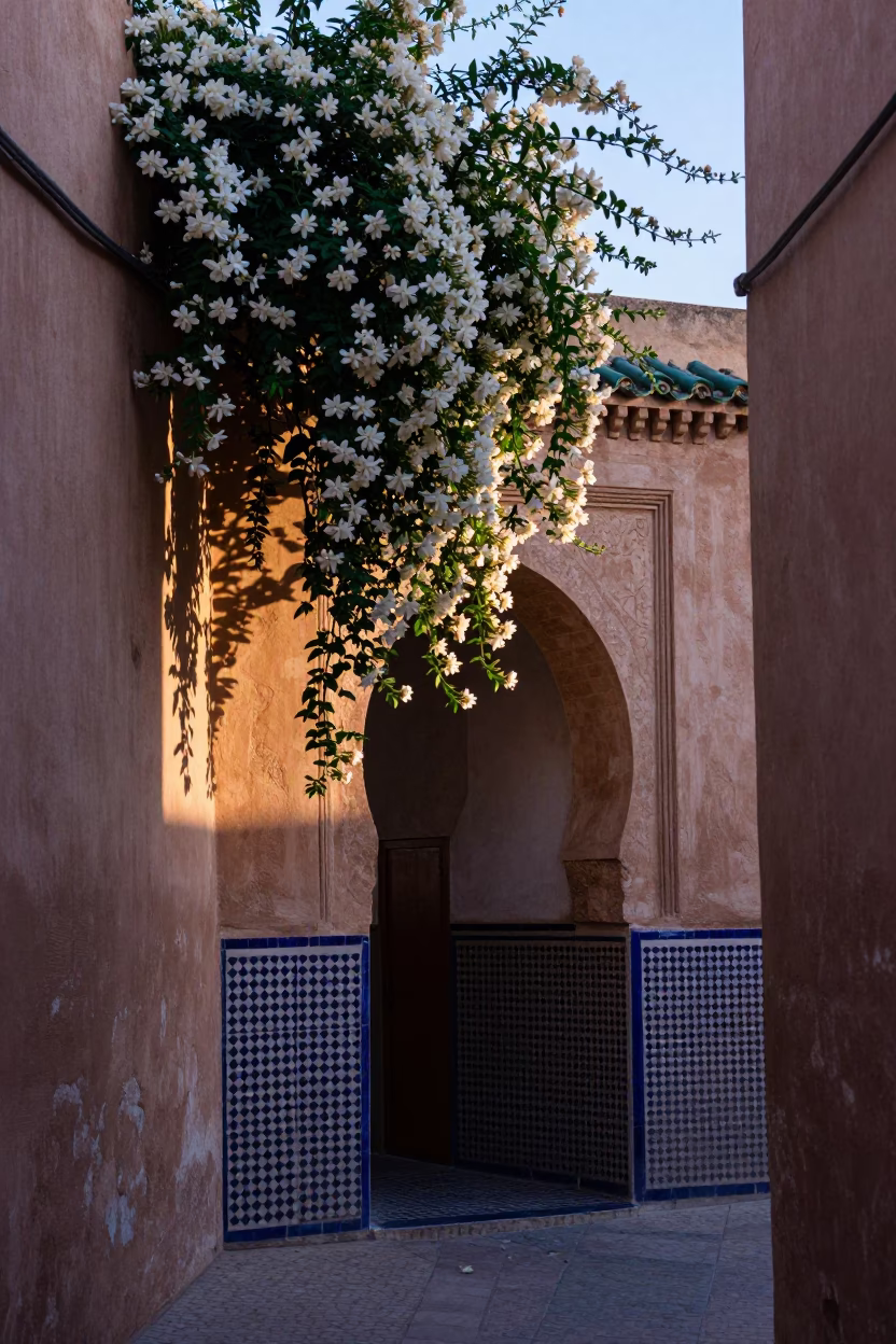 Nautical Dawn in Fez Morocco Climbing Jasmine on Ancient Zellige Tile Wall in in Fez, Morocco