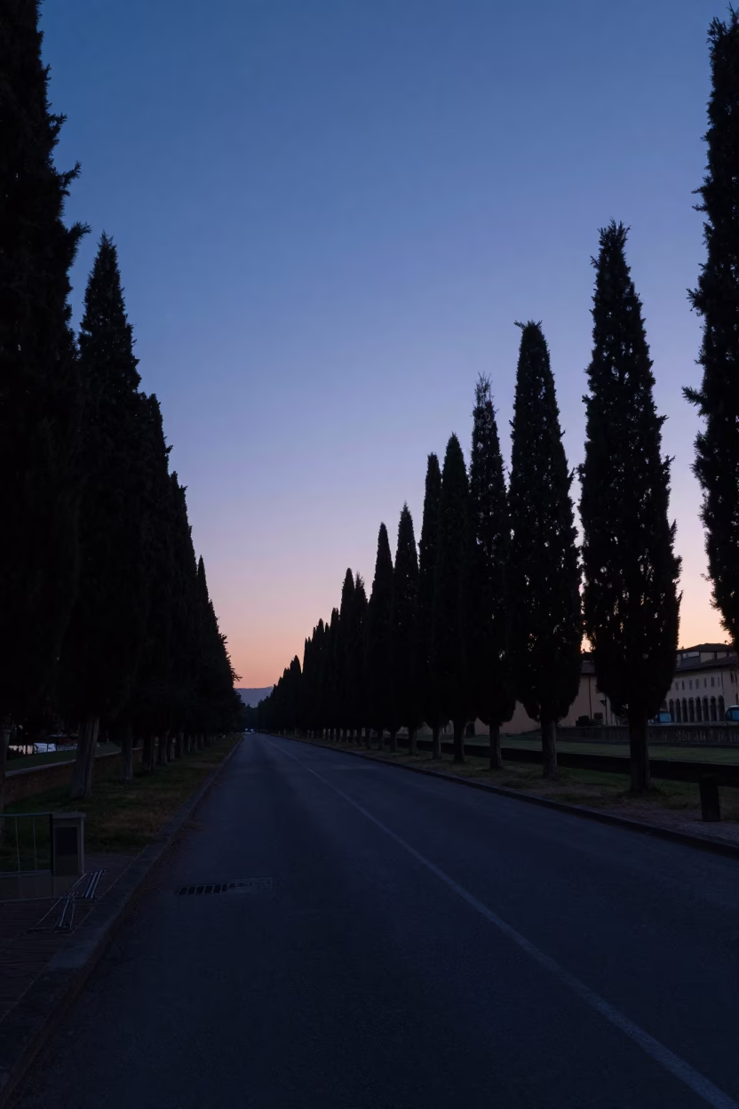 Nautical Dawn in Florence Italy Cinematic Street Scene with Cypress Trees in in Florence, Italy