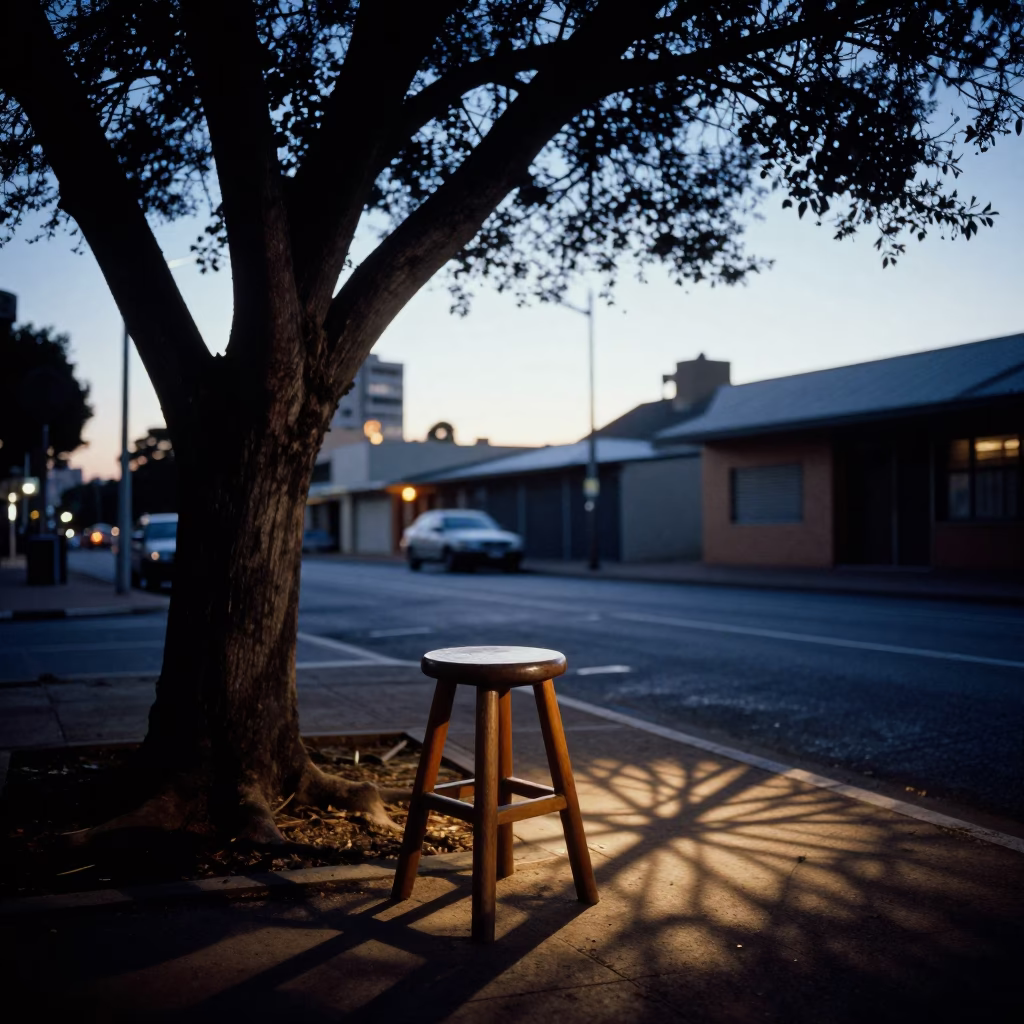 Nautical Dawn in Johannesburg South Africa with Fig Tree and Wicker Shadow in in Johannesburg, South Africa