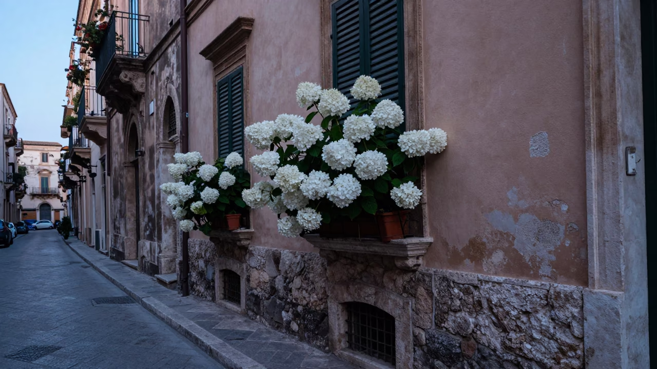Nautical Dawn in Palermo Italy Street Scene with Hydrangeas and Stone Architecture in in Palermo, Italy