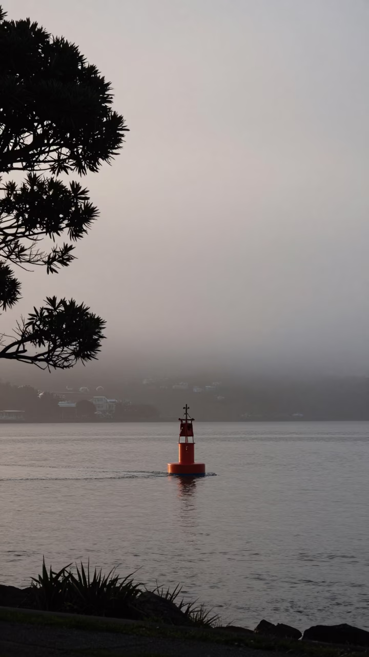 Nautical Dawn in San Francisco with Hydrophone Buoy and Madrone Tree in in San Francisco, California, United States