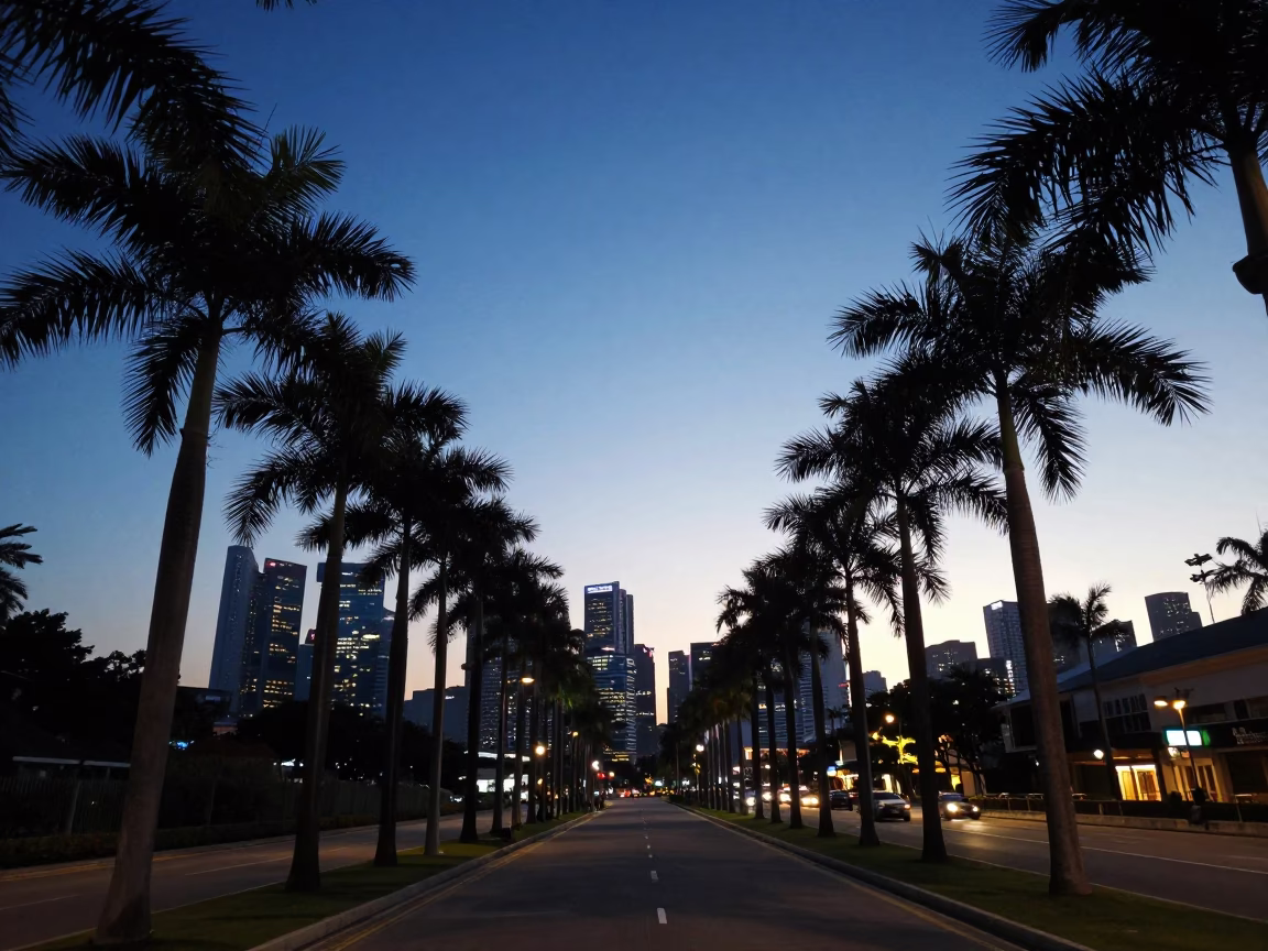 Nautical Dawn in Singapore Palm Tree Avenue Boulevard Landscape Horizon Shot in in Singapore, Singapore