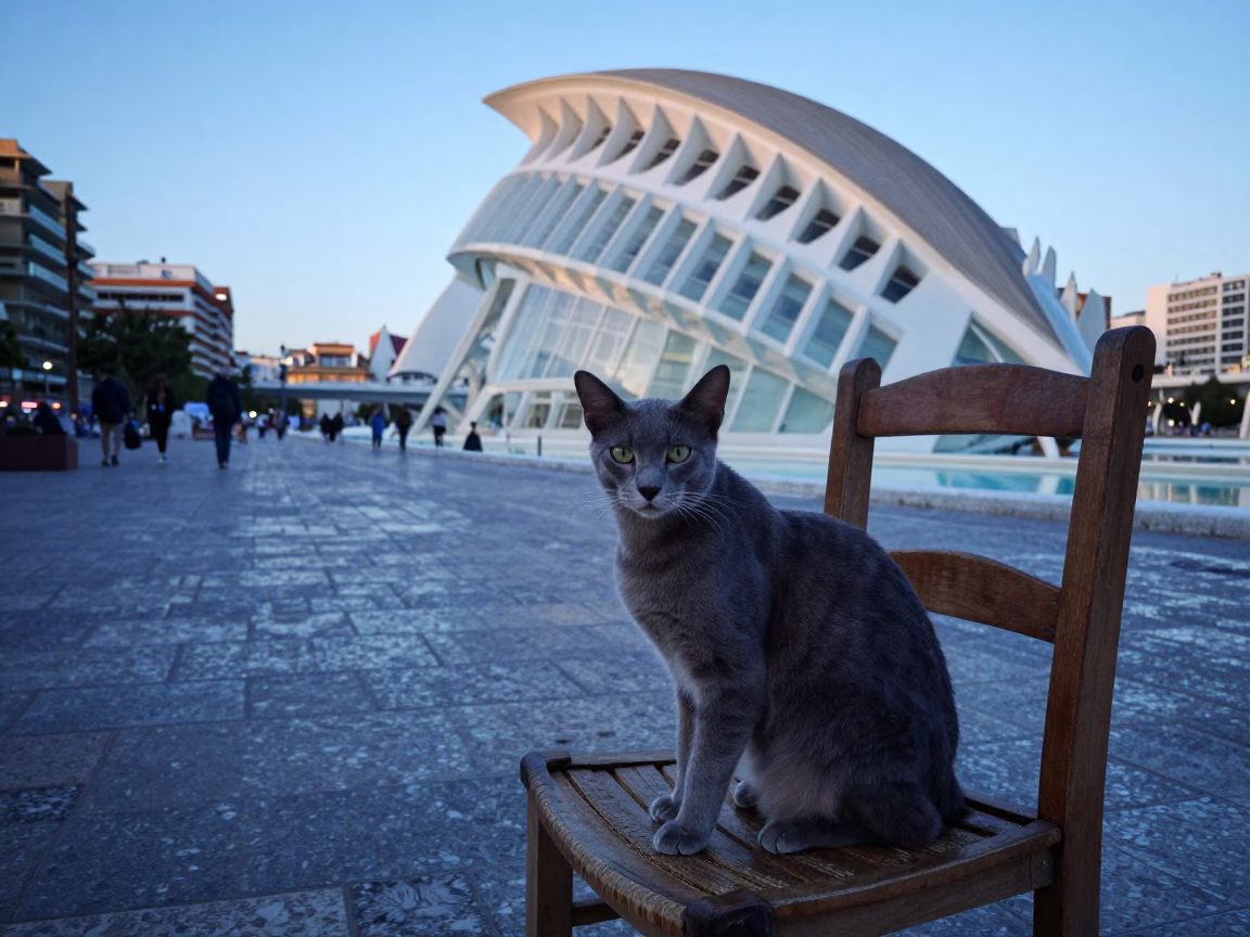 Nautical Dawn Light on Valencia Plaza with Oriental Shorthair Cat and Twine in in Valencia, Spain