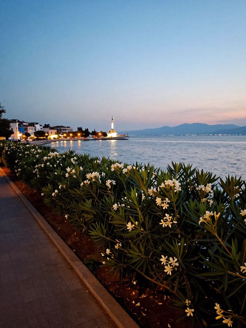 Nautical Dawn Light Over Izmir Bay With Oleander Hedges And Historic Harbor Views in in Izmir, Turkey