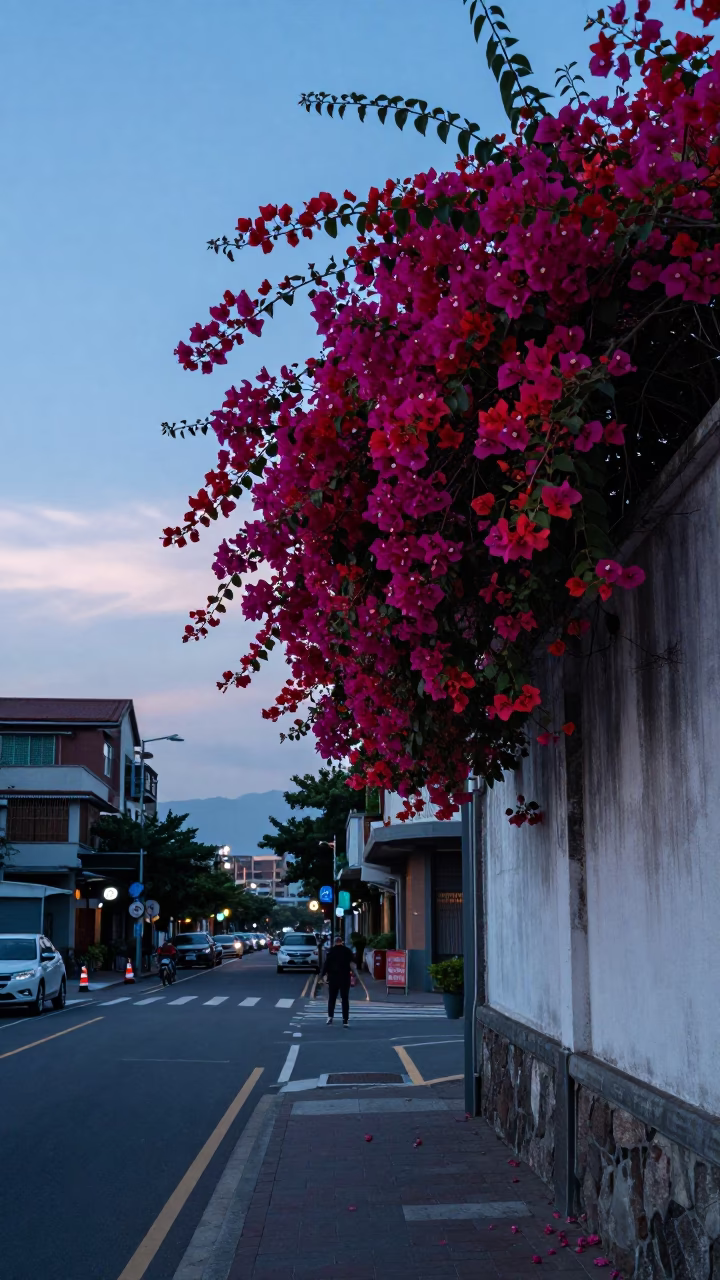 Nautical Dawn Street Scene in Taipei Taiwan with Bougainvillea and Urban Details in in Taipei, Taiwan