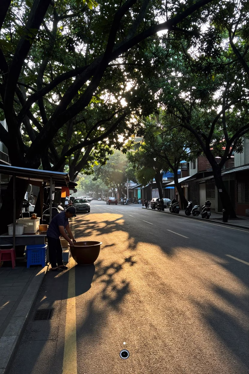 Nautical Dawn Street Scene in Taipei Taiwan with Wicker Shadow and Hanging Air Plant in in Taipei, Taiwan