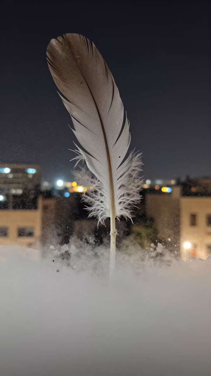 Neon Fog Feather Cairo Window in along a frost-edged windowpane near City of the Dead, Cairo