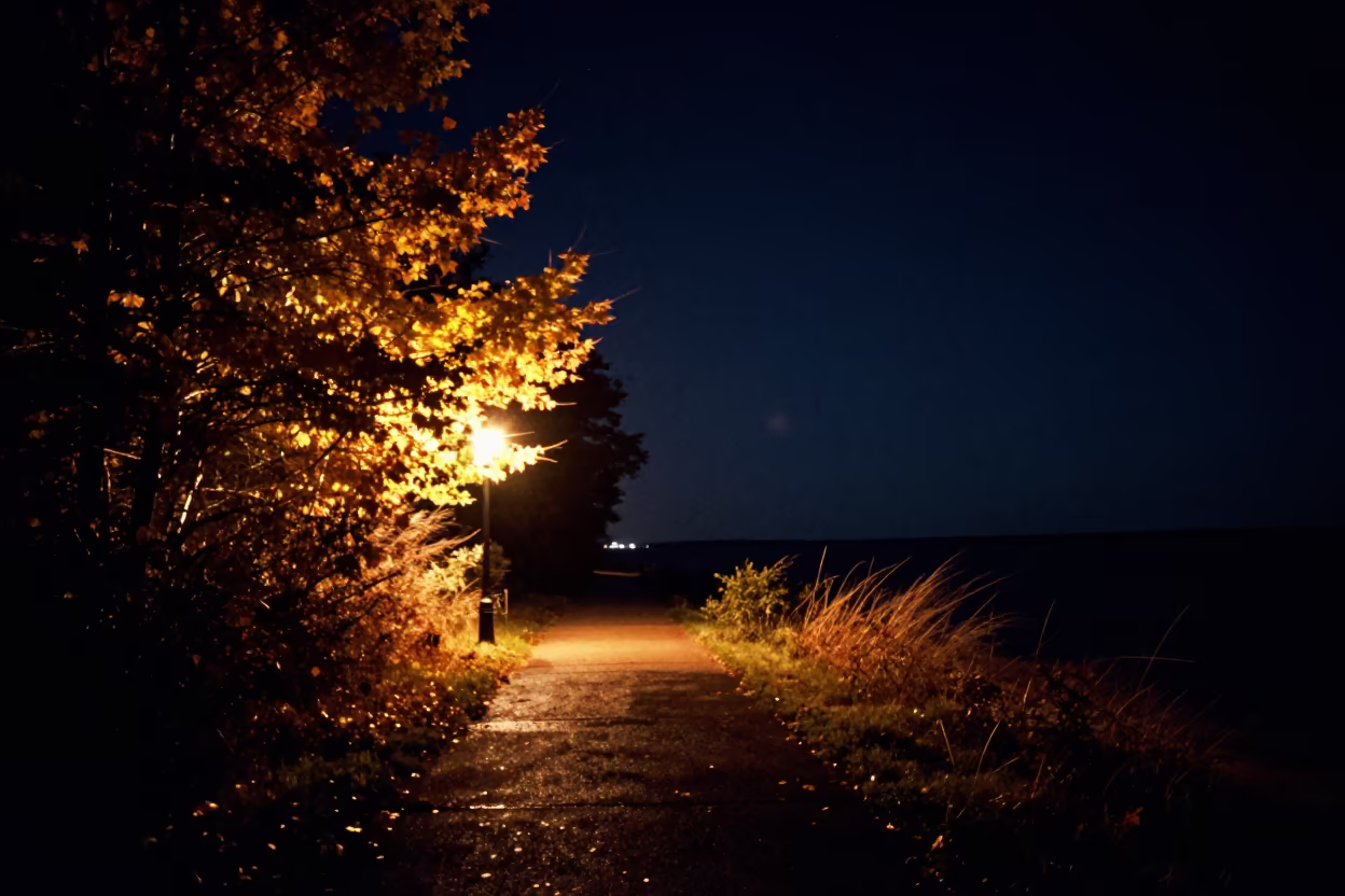 Neon Glow on Wet Wisconsin Shoreline Night in along a dark shoreline with tidal glow in Wisconsin
