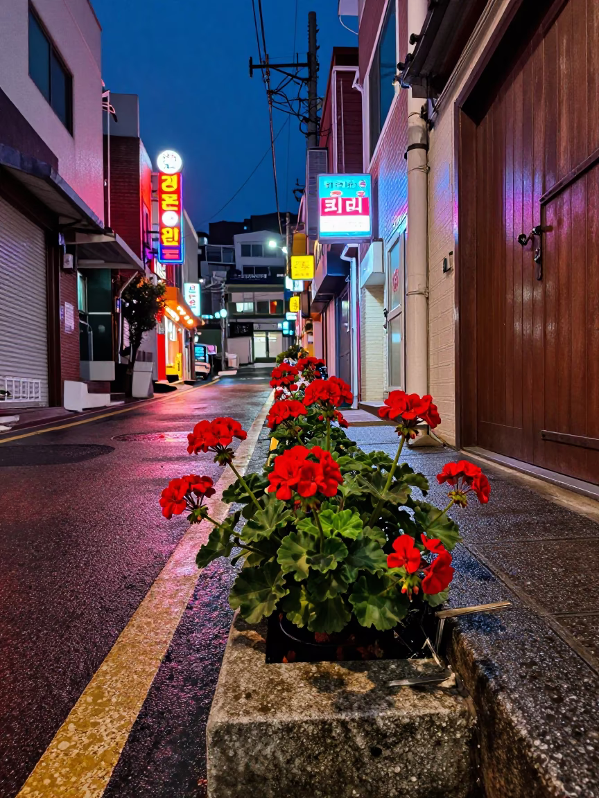 Neon-lit Geraniums in Busan in in Busan, South Korea