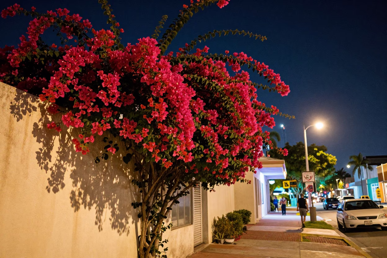 Neon Miami Night Street Scene with Bougainvillea and Vintage 1980s Aesthetic in in Miami, Florida, United States