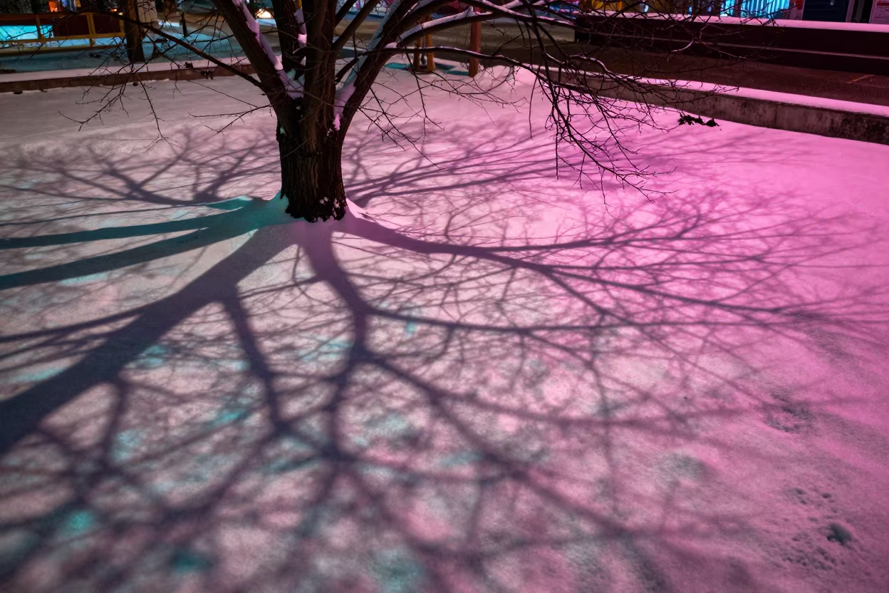 Neon Shadow Fractals on Winter Snow in near Gastown, Vancouver