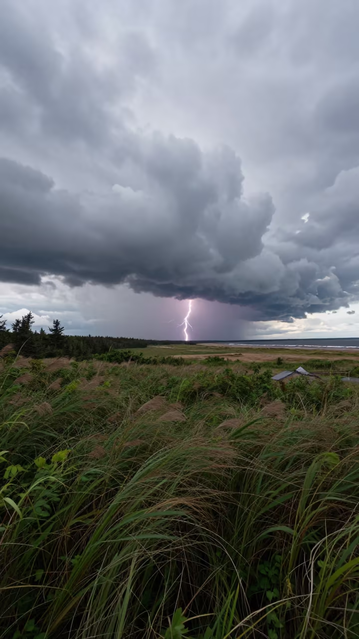 New Brunswick Thunderstorm Lightning Horizon Midday in over a horizon of stacked thunderheads in New Brunswick
