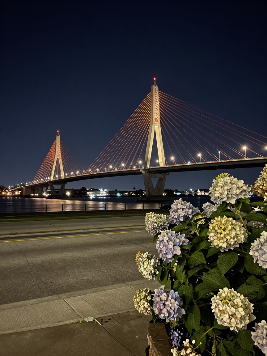 New Orleans Night Street Scene with Cable-Stayed Bridge and Hydrangeas in in New Orleans, Louisiana, United States