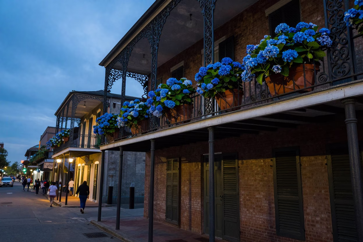 New Orleans Street Scene at Blue Hour in in New Orleans, Louisiana, United States