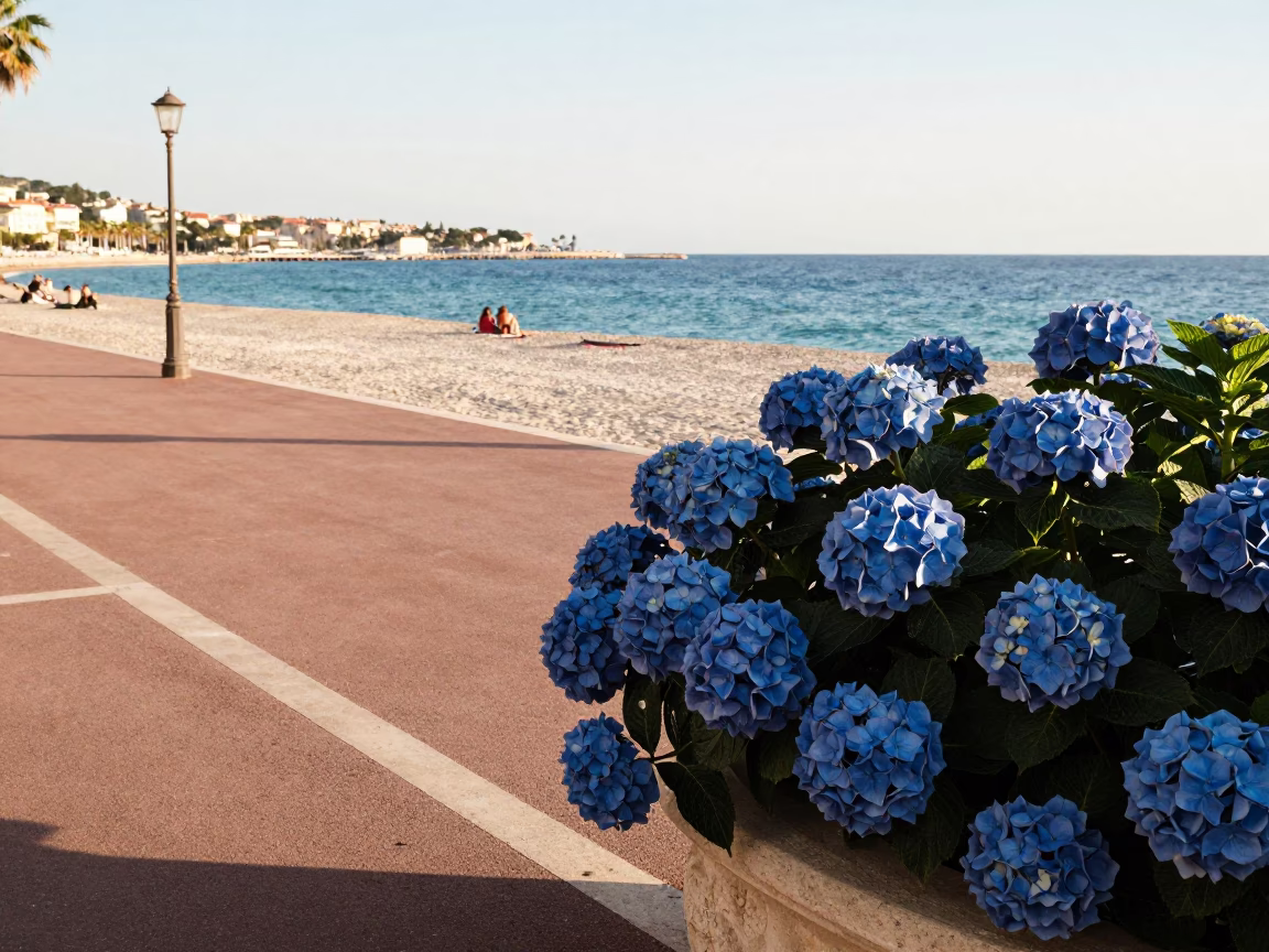 Nice Afternoon Sunlight at The Late Afternoon Light in in Nice, France