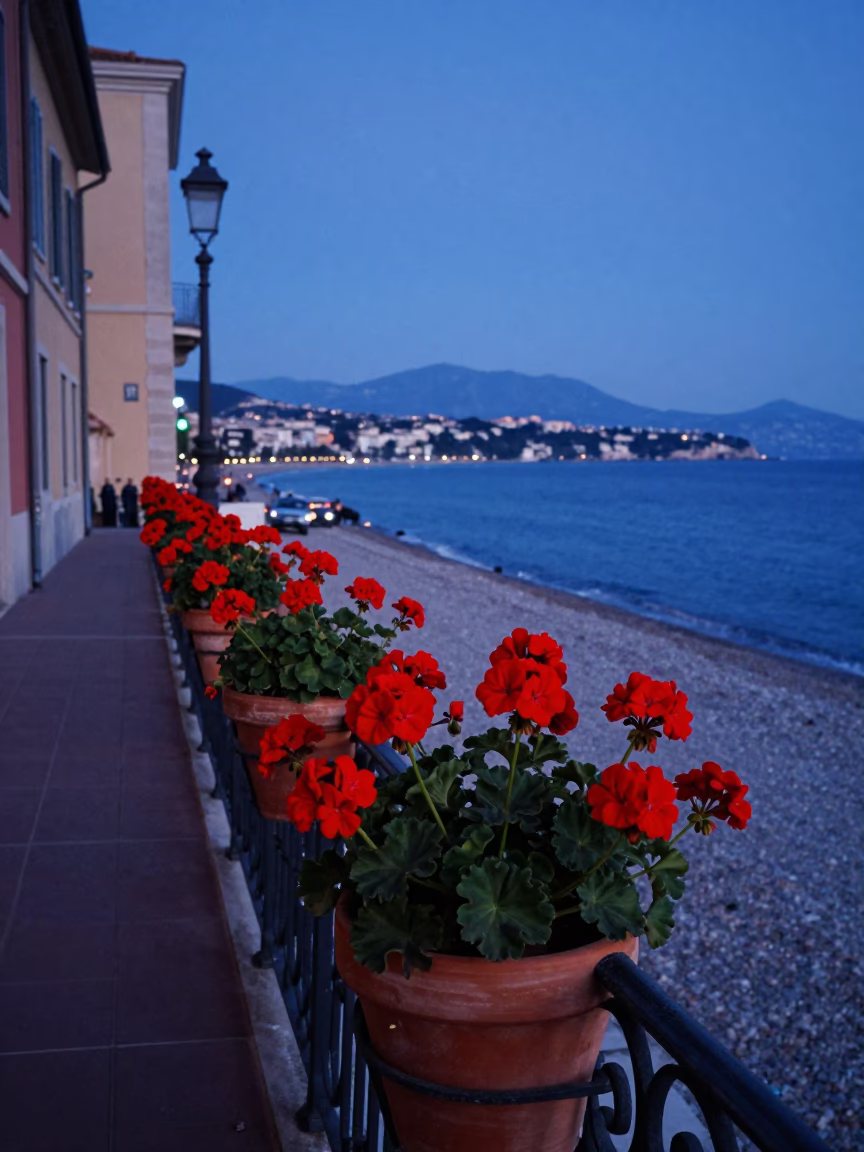 Nice France Twilight Street Scene with Geraniums and Historic Architecture in in Nice, France