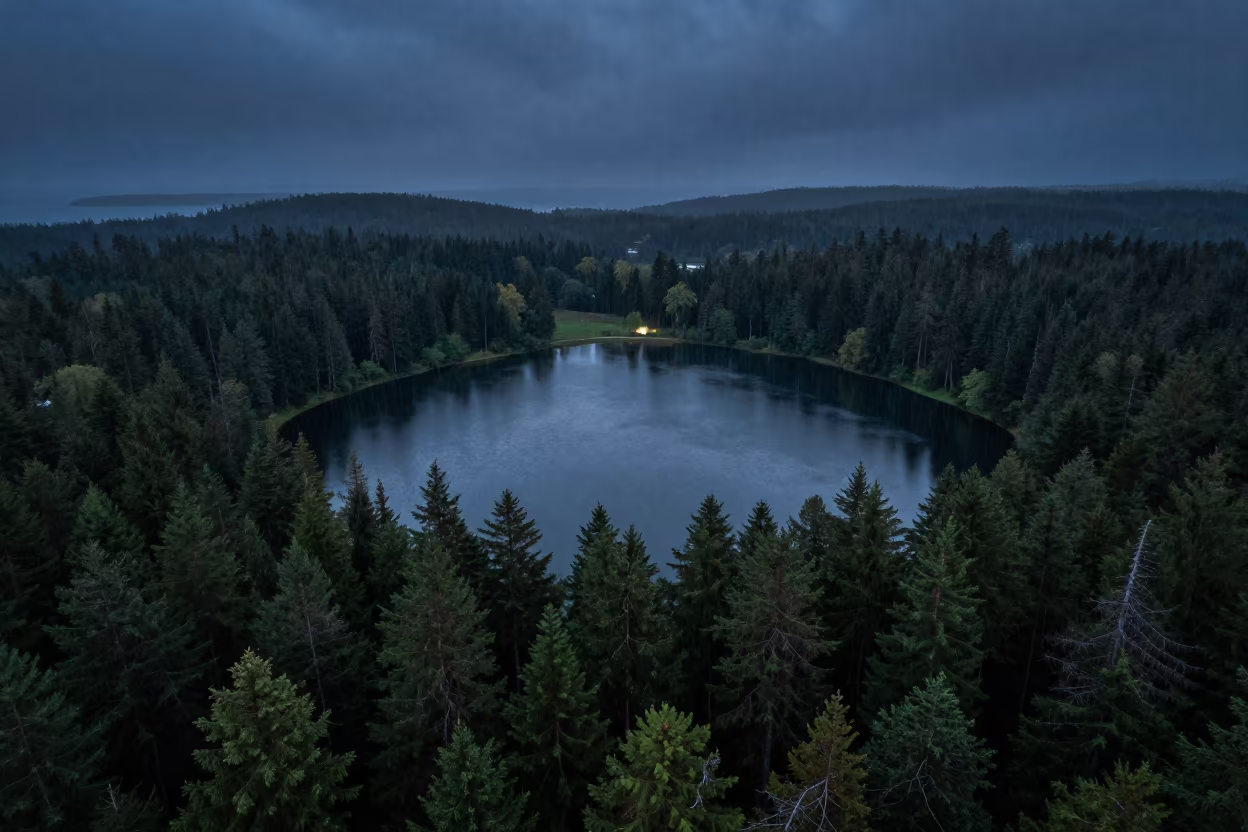 Night Aerial of Forest Lake and Conifers Near Duékoué in far above surf-scalloped coastline near Duékoué