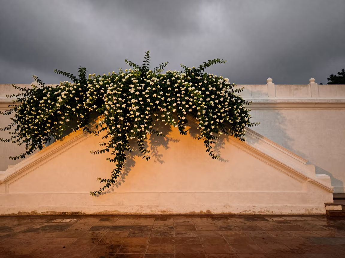 Night Blooming Jasmine on Staircase in at the base of a monumental staircase in India