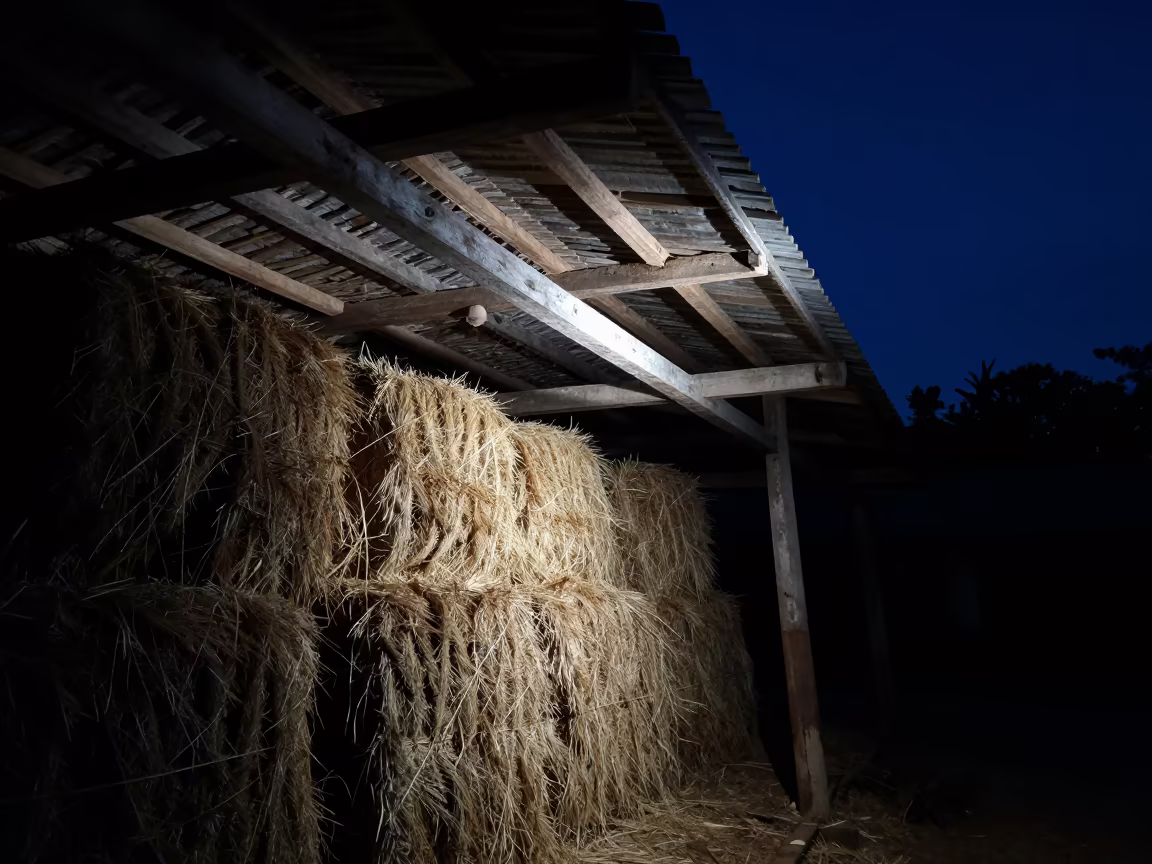 Night Light Stripes Barn Loft Hay Bales in beside stacked hay bales in Sulawesi
