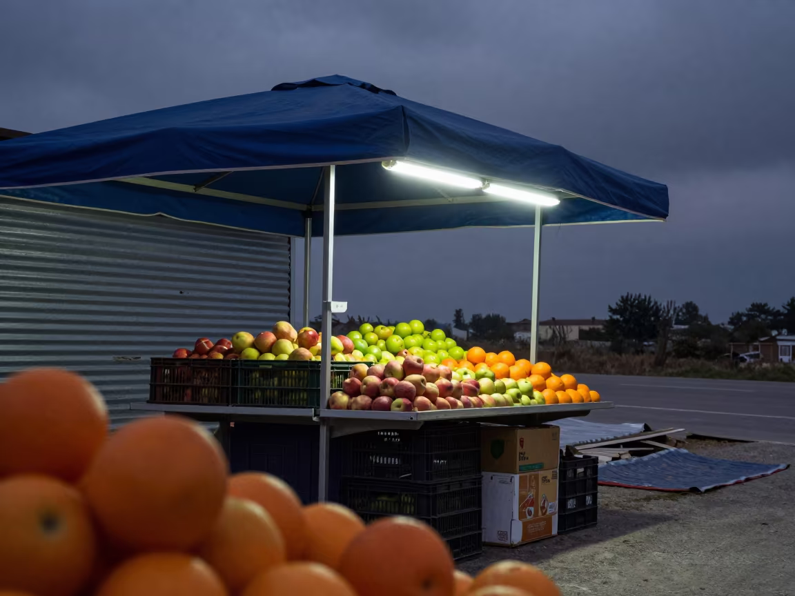 Night Market Canopy Under Fluorescent Glow in at a roadside fruit stand in Çorlu