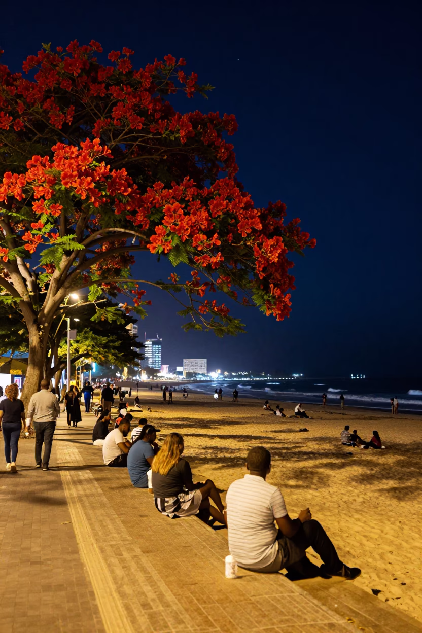 Night Scene at Durban Beachfront with Flame Tree Bloom and Street Activity in in Durban, South Africa