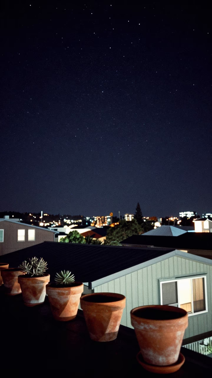Night Sky Over Christchurch Rooftops with Terracotta Pots and Succulents in in Christchurch, New Zealand