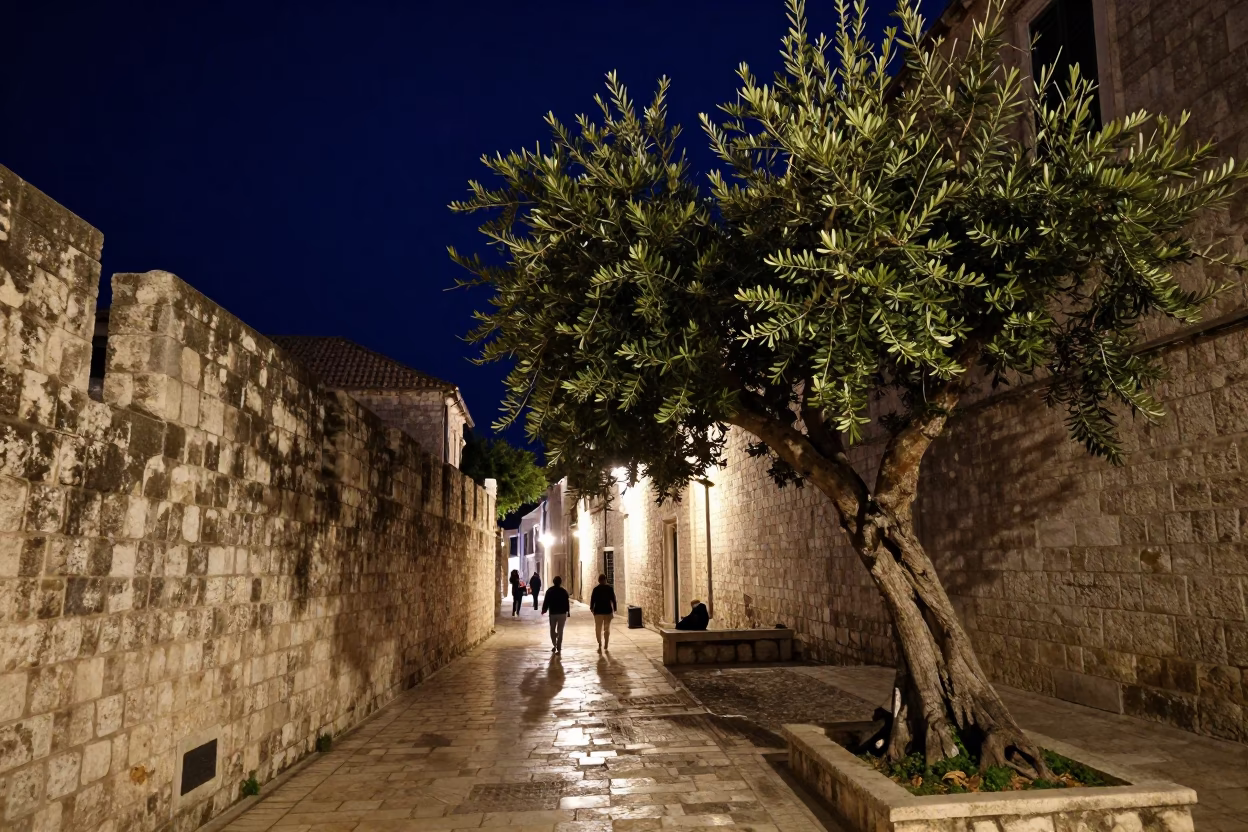 Night Street Scene in Dubrovnik Croatia with Olive Tree and Stone Steps in in Dubrovnik, Croatia