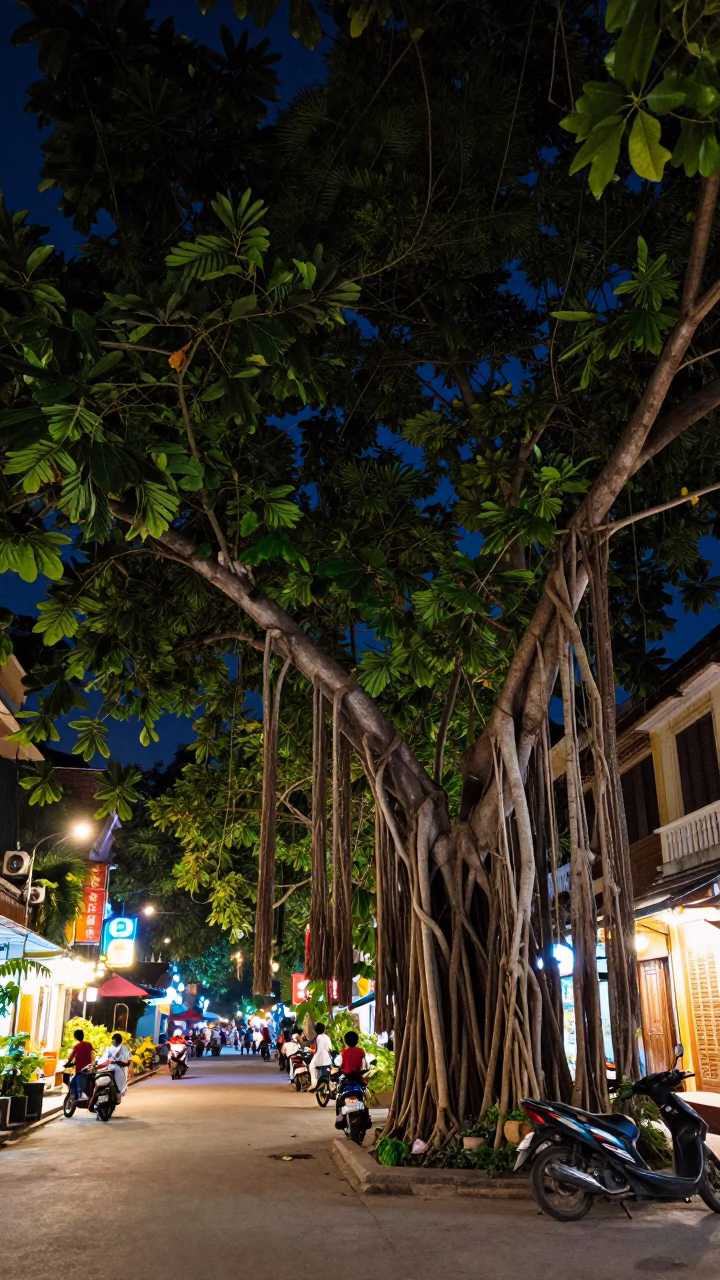 Night Street Scene in Hanoi Vietnam with Banyan Tree and Neon Lights in in Hanoi, Vietnam