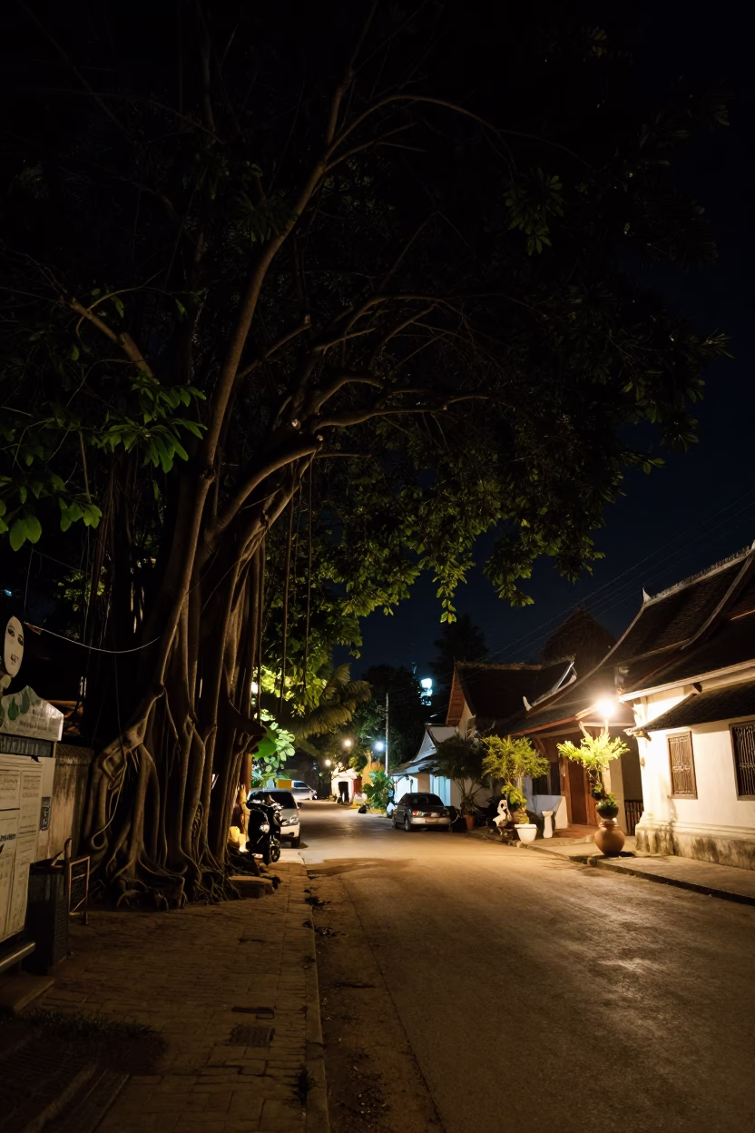 Night Street Scene in Luang Prabang Laos with Strangler Fig and Traditional Saffron Robes in in Luang Prabang, Laos