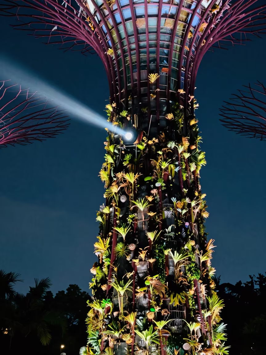 Nightlit Supertree Grove Cliff Edge Singapore in along a salt-sprayed cliff edge near Holland Village, Singapore
