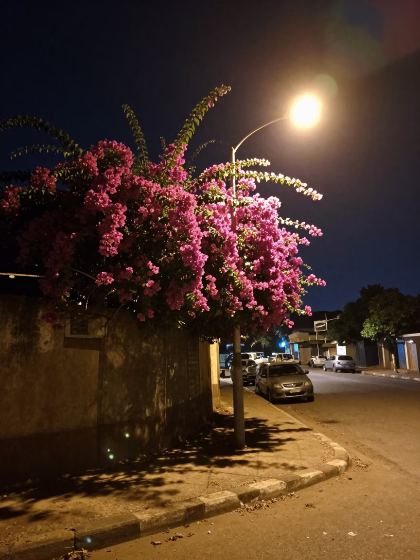 Nighttime Accra Ghana Street Scene with Bougainvillea and Condensation on Metal Rail in in Accra, Ghana