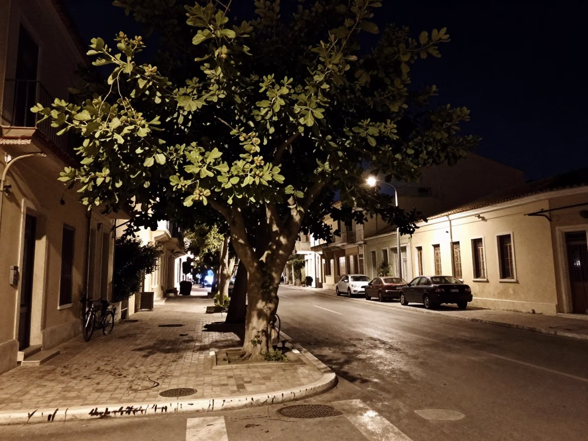 Nighttime Athens Street Scene with Fig Tree and Urban Details in in Athens, Greece