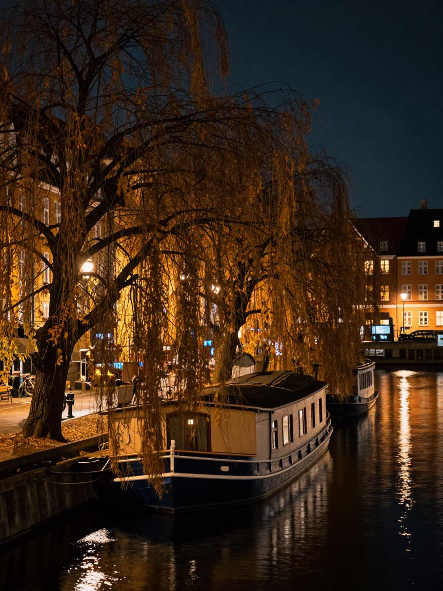 Nighttime Canal Scene in Copenhagen Denmark with Houseboat Under Autumn Willows and City Lights in in Copenhagen, Denmark