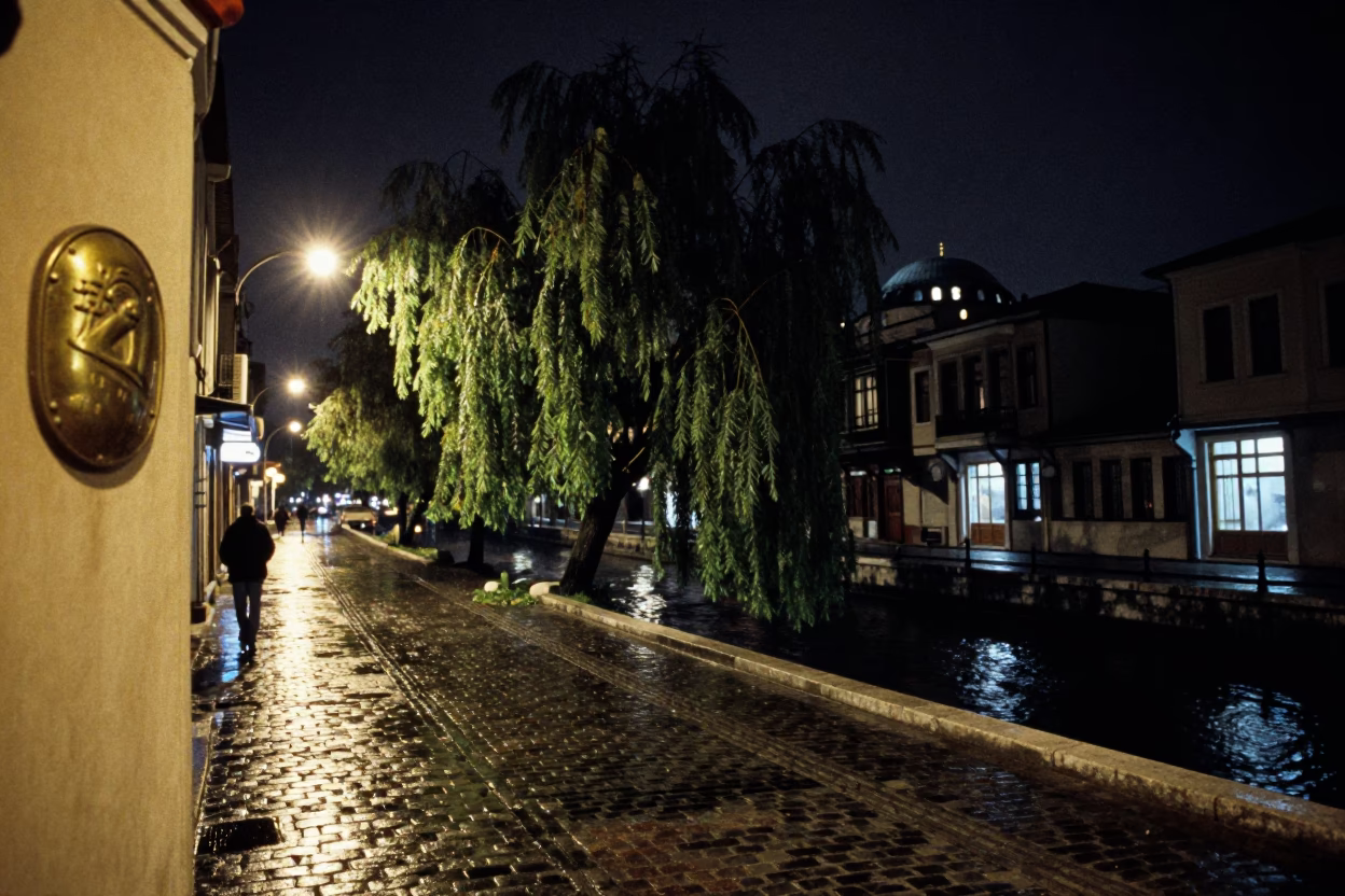 Nighttime Istanbul Street Scene with Brass Escutcheon and Weeping Willow in in Istanbul, Turkey