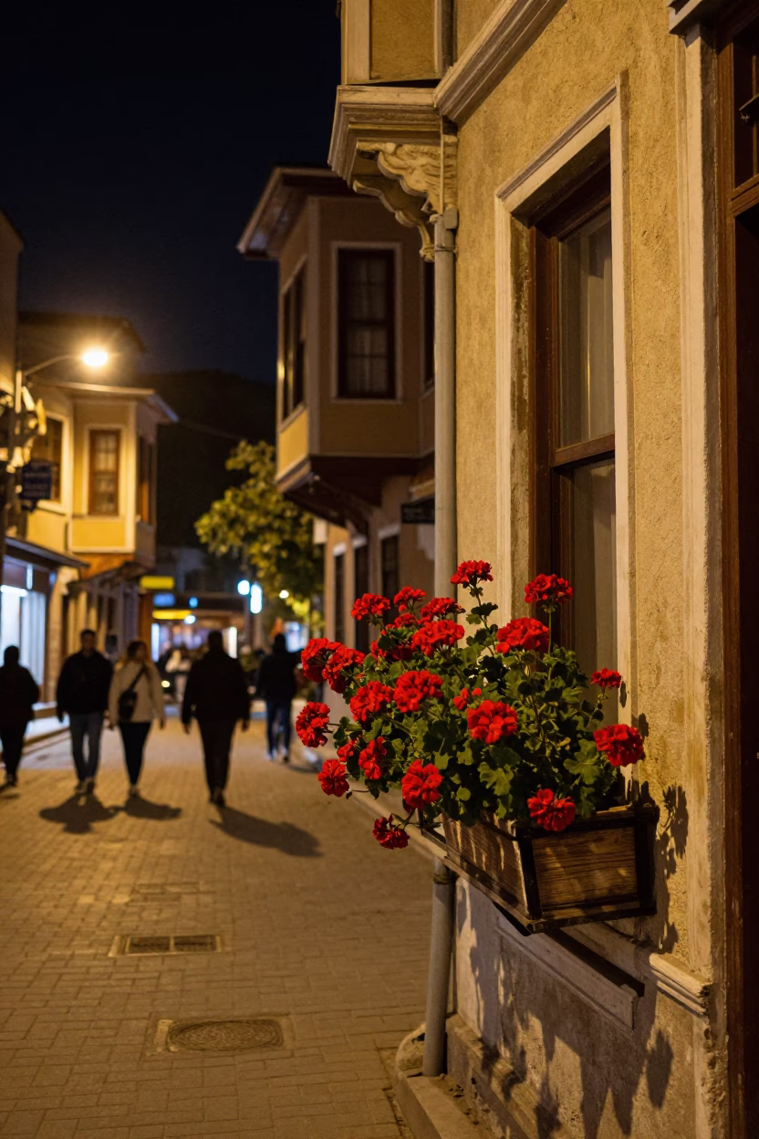Nighttime Istanbul Street Scene with Red Geraniums and Traditional Architecture in in Istanbul, Turkey