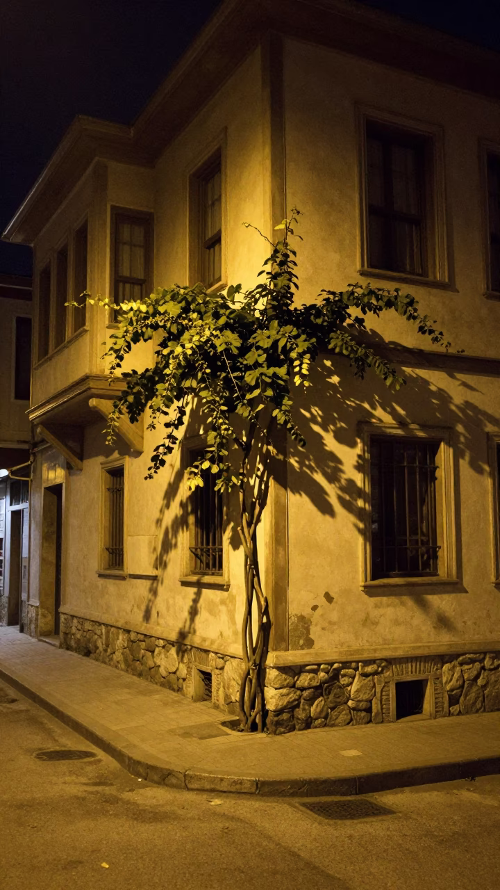Nighttime Izmir Street Corner with Latch and Vine in 1960s Turkey in in Izmir, Turkey