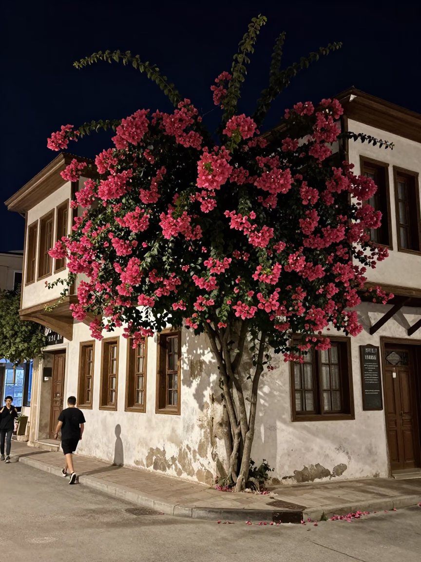 Nighttime Izmir Street Scene with Bougainvillea and Vintage 1960s Automotive Detail in in Izmir, Turkey