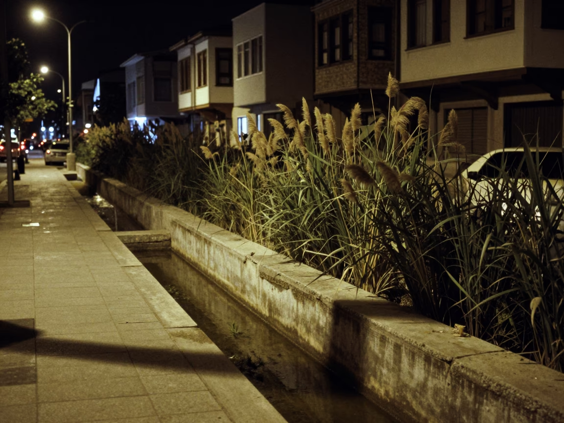 Nighttime Izmir Street Scene with Concrete Canal Reeds and Twine Bucket in in Izmir, Turkey