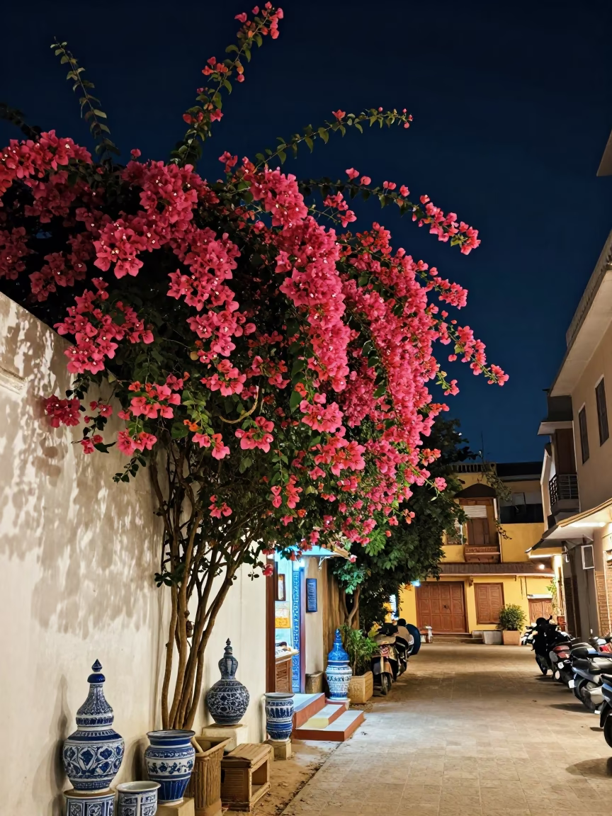 Nighttime Jaipur Street Scene with Bougainvillea and Blue Porcelain in in Jaipur, India