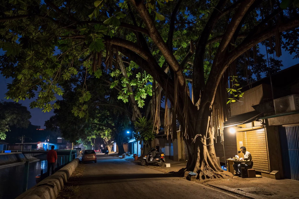 Nighttime Kolkata Street Scene with Banyan Tree and Canal Barge in Deep Darkness in in Kolkata, India