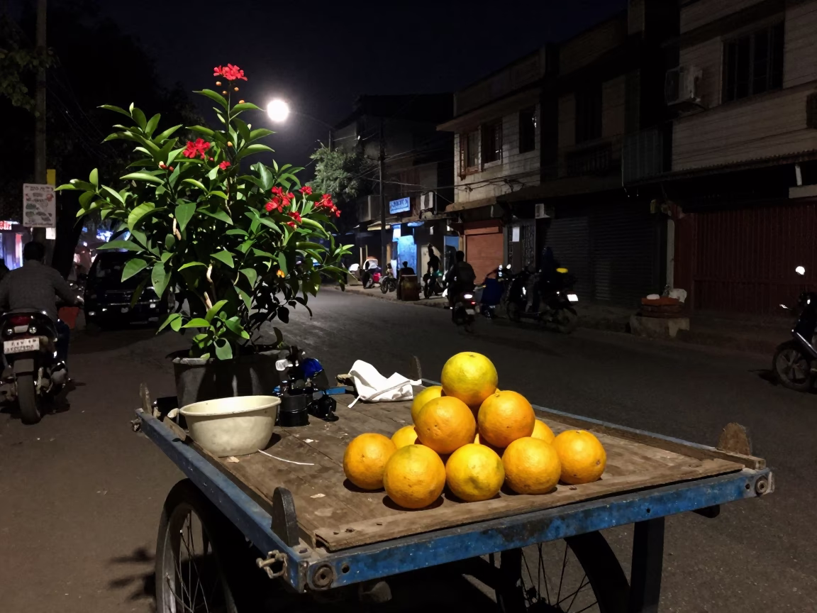 Nighttime Kolkata Street Scene with Oranges and Flowering Plant in in Kolkata, India