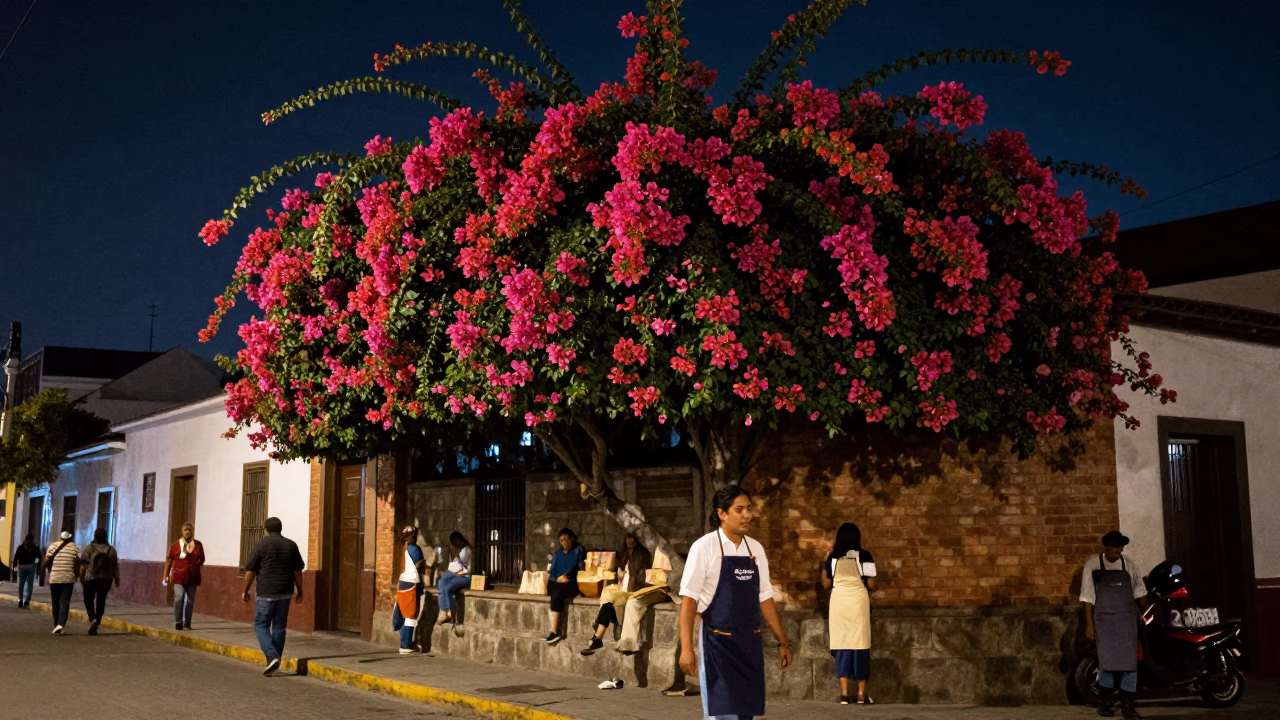 Nighttime Lima Street Scene with Bougainvillea and Aprons in 1990s Peru in in Lima, Peru