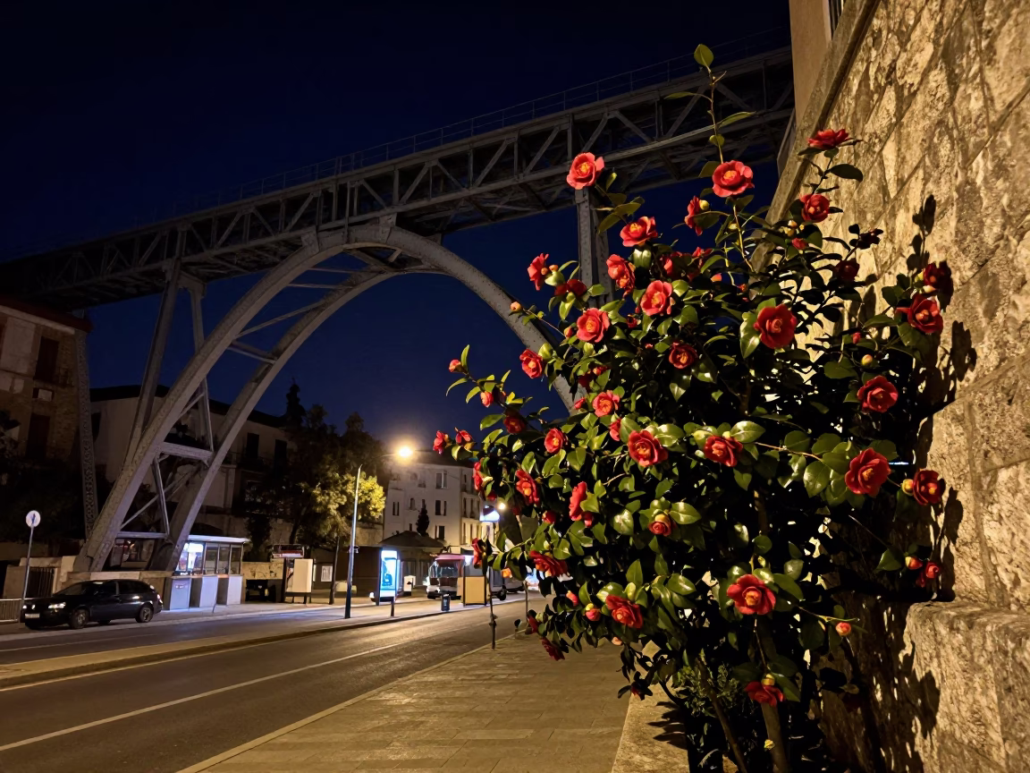 Nighttime Madrid Street Scene with Train Trestle and Camellia Under Deep Sky in in Madrid, Spain